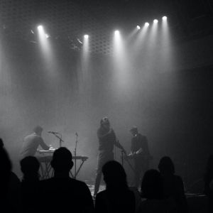 Eutropic - 8X7A5669.jpg