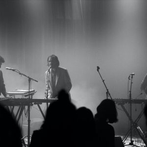 Eutropic - 8X7A5381.jpg